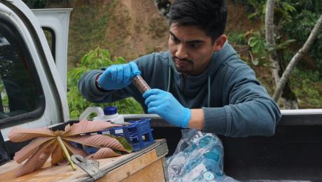 InvestigaciónHerbario 1