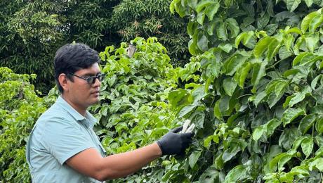 MaestríaEnAgronomía 1