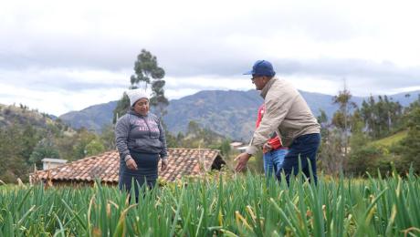 ProyectoVinculaciónChuquiribamba 1