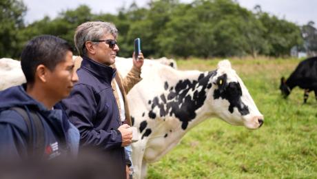 DocenteArgentinoProducciónAnimal 1